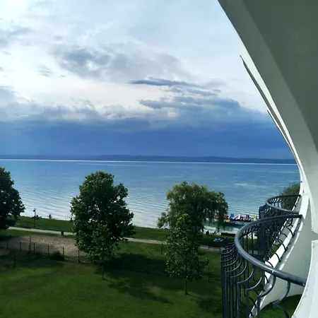 Black Swan Panorama