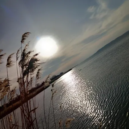 アパート Black Swan Panorama