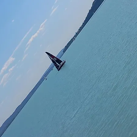 Black Swan Panorama * シオーフォク