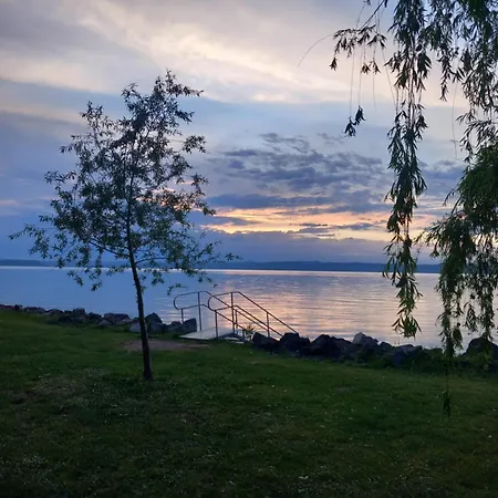 Black Swan Panorama シオーフォク